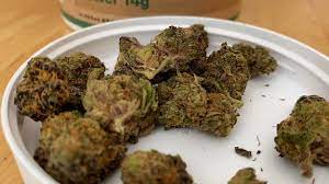 Cannabis Store Near Me: Shop Bulk Buddy’s Premium Online Selection